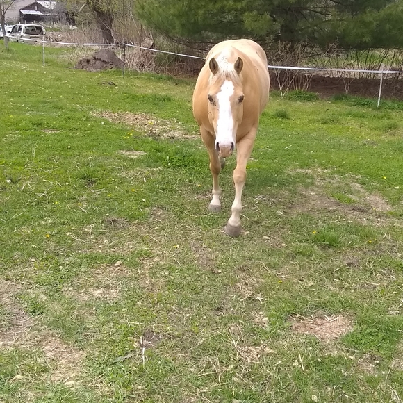 Meet your Posher, Christine - Picture 3 of 12